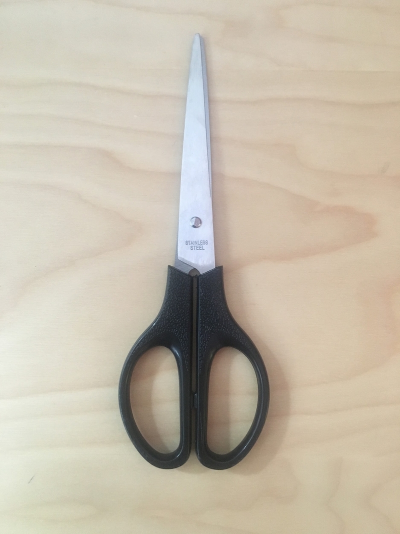 Ciseaux - Scissors 7"